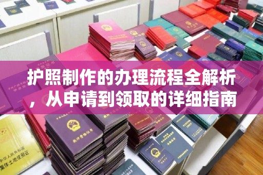 茶陵护照制作的办理流程全解析，从申请到领取的详细指南